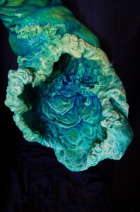 300dpi_Shower Funnel_4_Becky Nevin Berger